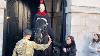 A Soldier S Intervention On Armistice Day To Ensure Safety Don T Touch The Reins Horse Guards