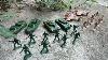 Army Men Toy Soldiers Military Gray Green Plastic Tank Airplane Boat