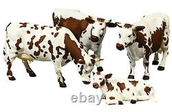 B35021 Britain Brown Randall Lineback Cows