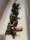 Britains Soldiers 20099 Zulu War Atillery Gun Team Painted Diecast Metal