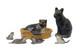 Barrett & Sons Lead Cat & Kittens In Basket