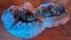 Britains 17500 Us Army Dietz Hold To The Last Add On Round Set