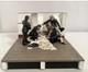 Limited Edition William Britains 41142 Nelson Death Scene