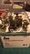 William Britains, World War 2 17450 105mm Howitzer And Crew Pic 19